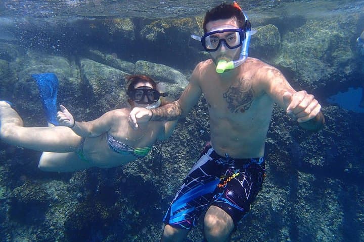 Cabo San Lucas Glass-Bottom Boat & Pelican Rock Snorkel Tour