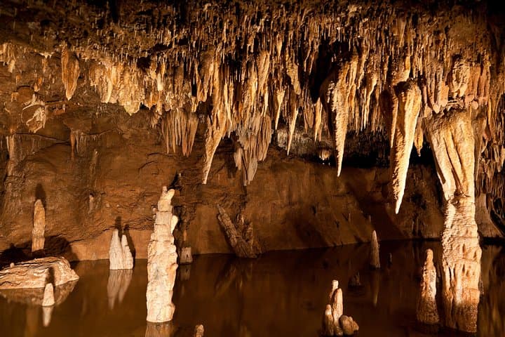 Explore the Green Grotto Caves: A Practical Guide to Jamaica’s Underground World photo 5