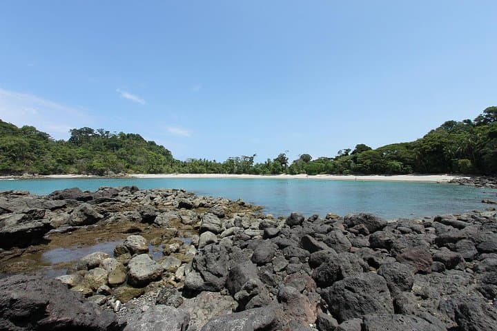 Manuel Antonio National Park Guided Wildlife Tour — Quepos Eco Hike photo 3