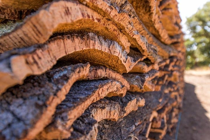Walk the Alentejo Cork Forests: 2-Hour Guided Cork Farm Walk from Redondo photo 5