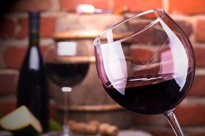 Mendoza Wine Route: Full-Day Private Maipú Wine & Olive Oil Tour with Lunch