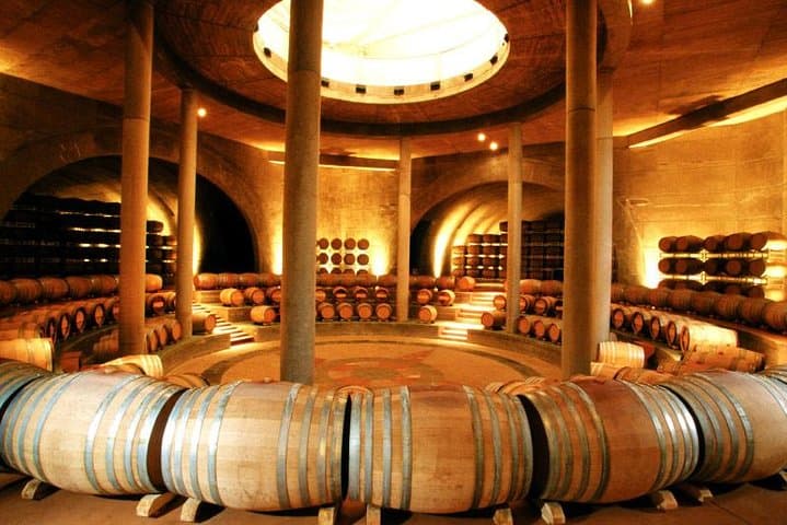 Mendoza Wine Route: Full-Day Private Maipú Wine & Olive Oil Tour with Lunch photo 5