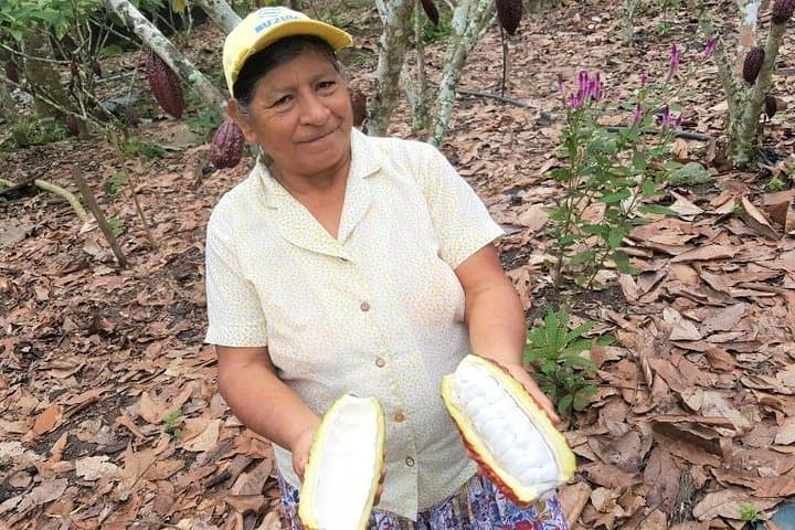 Cuenca to Guayaquil: Cajas National Park Hike and Cacao Farm Day Tour photo 6