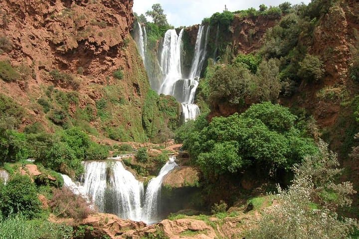 Full-Day Ouzoud Waterfalls Excursion from Marrakech — Waterfalls, Monkeys & Olive Valleys photo 3