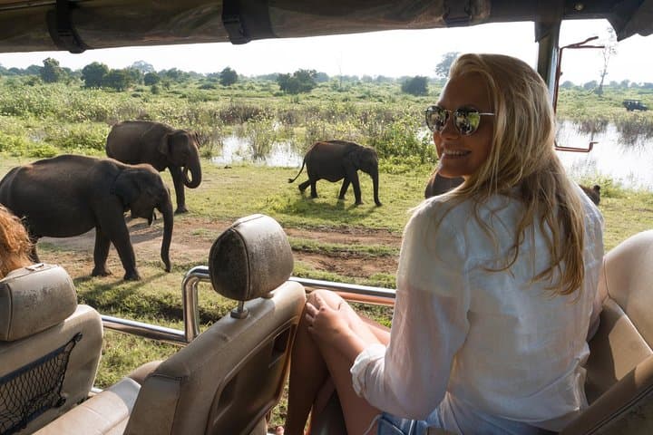 Udawalawe National Park Safari from Hambantota — Half- or Full-Day Wildlife Drive photo 2