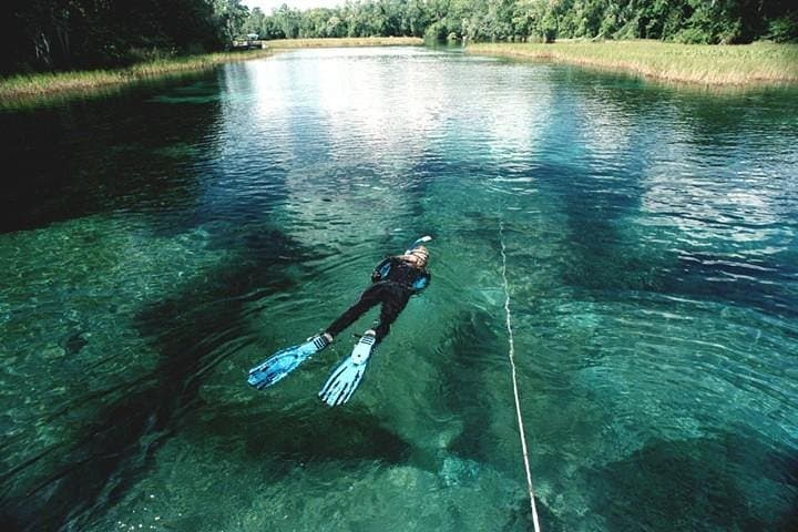 Snorkel and Dive the Rainbow River: Crystal River Drift Experience photo 2