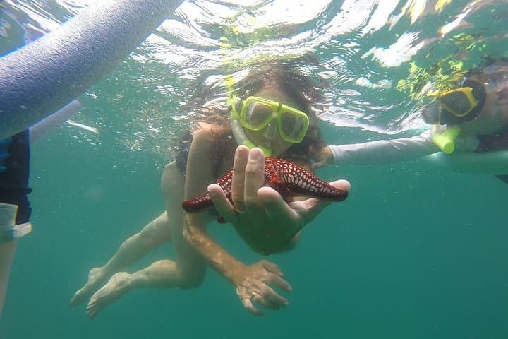 Ride to the Reef: ATV and Snorkel Adventure from Playa Flamingo photo 2