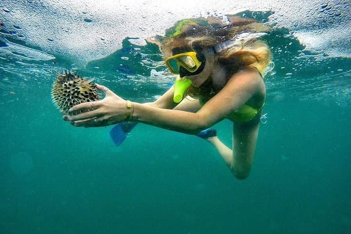 Ride to the Reef: ATV and Snorkel Adventure from Playa Flamingo photo 4