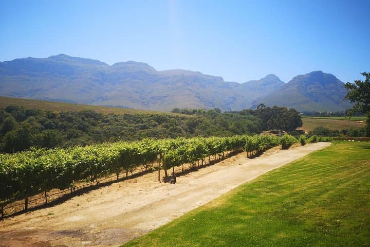 Private Cape Winelands Tour from Cape Town — Stellenbosch & Franschhoek Wine Tasting photo 4
