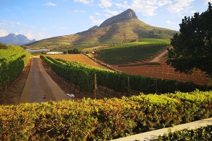Private Cape Winelands Tour from Cape Town — Stellenbosch & Franschhoek Wine Tasting photo 5