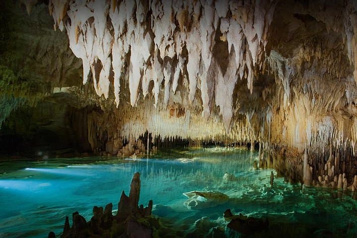 Explore Cayman Crystal Caves: Guided Cave and Forest Walk on Grand Cayman