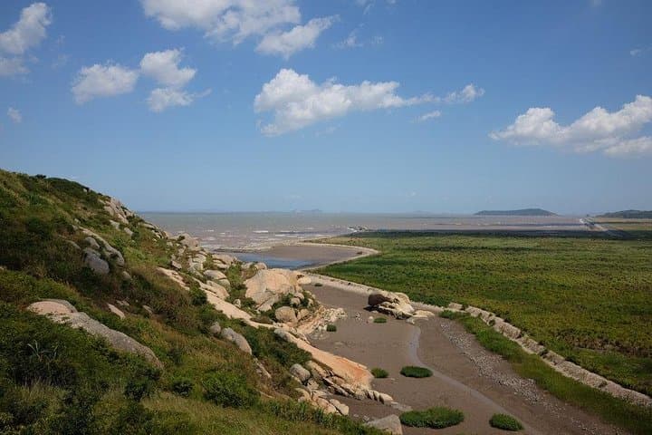 Drive to Donghai Bridge & Yangshan Deep-Water Port — Private Transfer from Shanghai photo 3