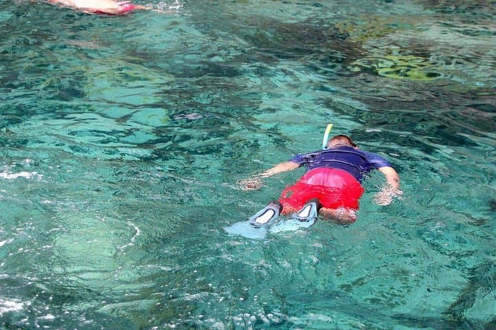 Snorkel with Sea Turtles — Anse Coralienne & Anses d'Arlet Half‑Day, Martinique photo 2