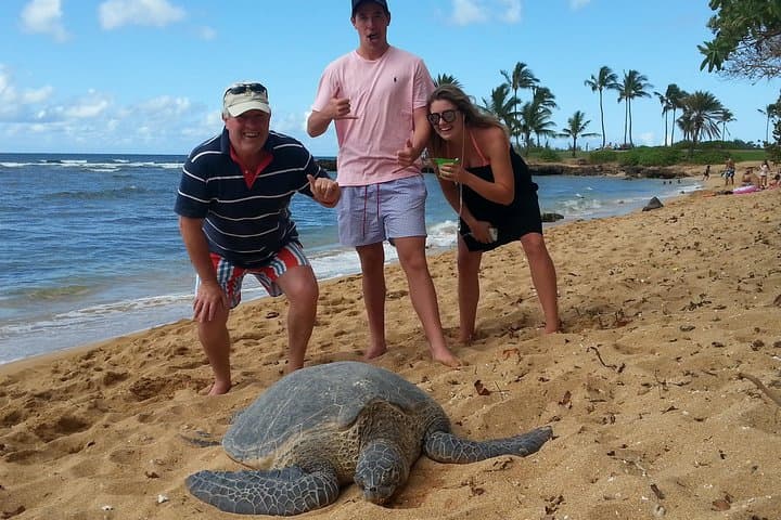 Convertible North Shore: 6-Hour Private Luxury Tour of Oahu's Wild Coast photo 2