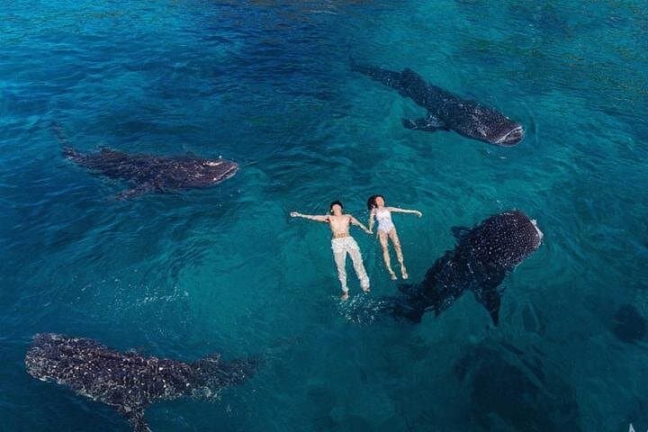 Whale Sharks to Waterfalls: Oslob, Tumalog & Kawasan Falls Day Trip from Cebu