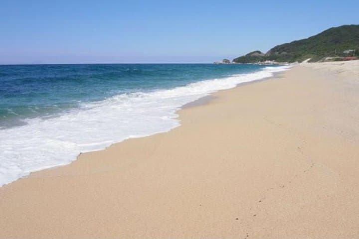 Full-Day Yakushima Walking Tour — Ancient Cedars, Waterfalls & Coastal Winds