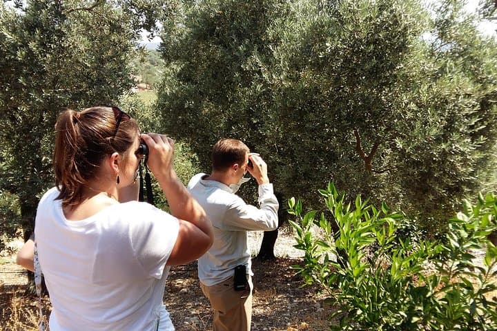 Bird-Watching Tour from Kusadasi: Gebekirse Lake & Ephesus Wildlife Day Trip