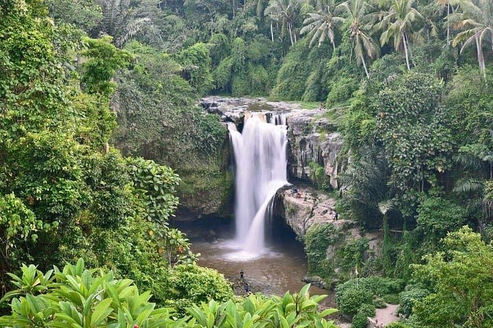 South Coast Bali Tour: Ubud Waterfall, Padang-Padang & Uluwatu Temple Day Trip photo 2