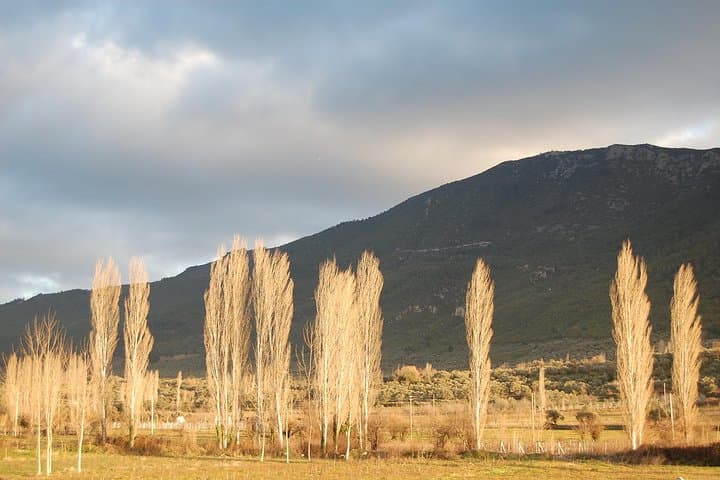 Sirince Village Day Trip from Izmir — Wine, Olive Groves & Traditional Life photo 2