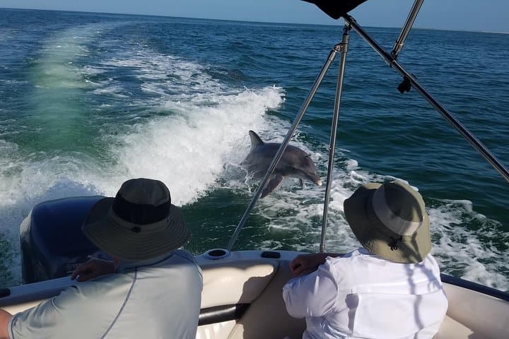 Explore Clearwater’s Barrier Islands: Private Half-Day Boating on Black Hurricane photo 4