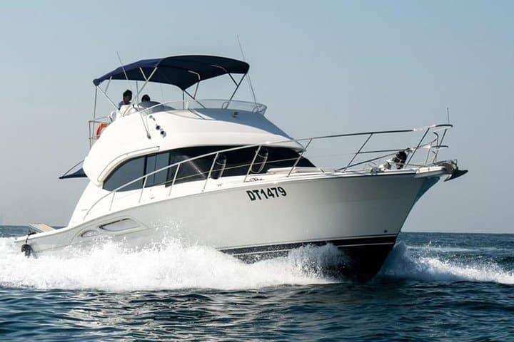 Dubai Marina Deep Sea Fishing: 4-Hour Private Yacht Experience photo 2