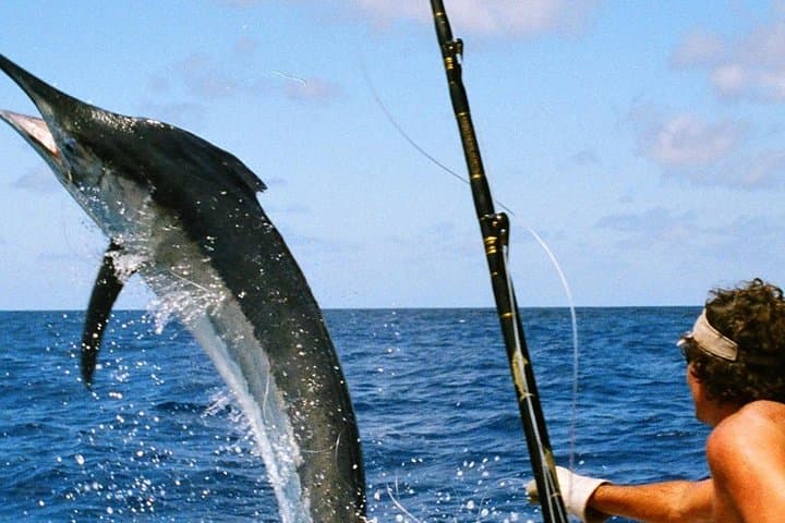 Dubai Deep Sea Fishing: Private Charter Adventure on Arabian Waters photo 2
