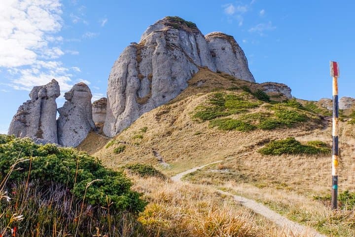 Day Hike to Ciucas Mountain: Rhododendron Ridges & Rocky Spires from Bucharest photo 3