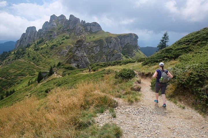 Day Hike to Ciucas Mountain: Rhododendron Ridges & Rocky Spires from Bucharest photo 4