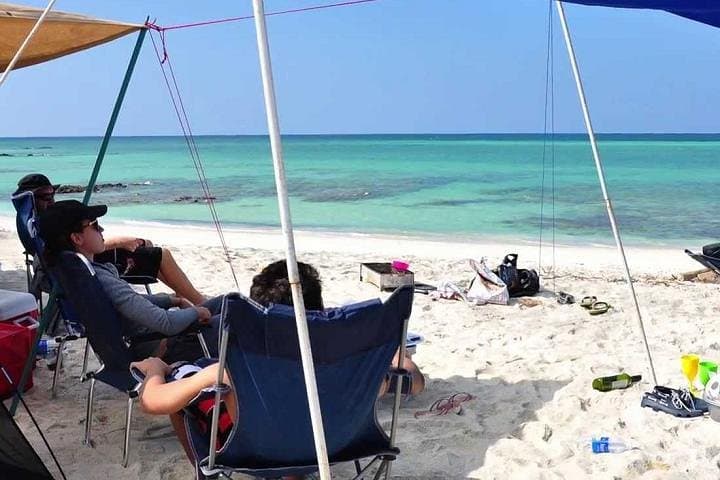 Super Special Sea Trip: Muscat Dolphin Watching, Snorkel & Beach Picnic