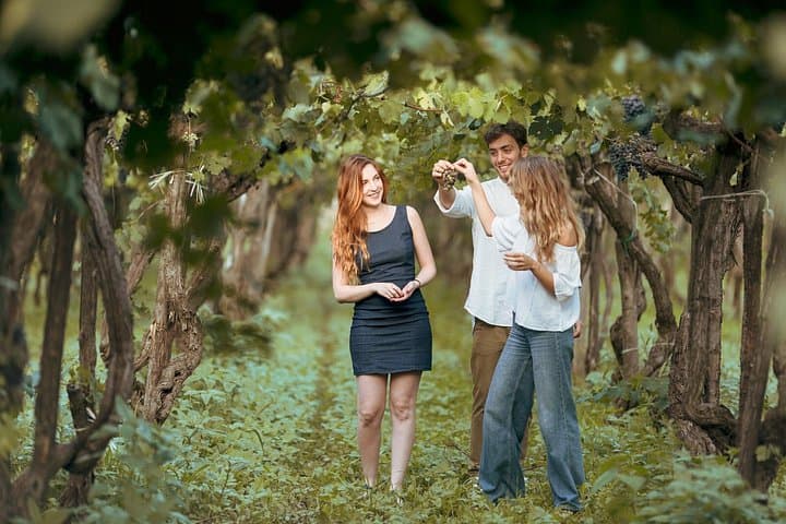Etna Countryside Food & Wine Lovers Tour — Half-Day Volcanic Vineyard Experience photo 2