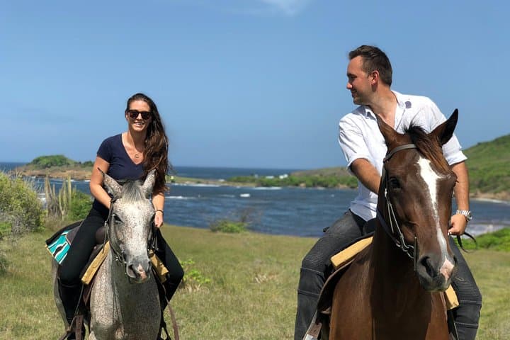 Private Beach Horseback Ride & Picnic in St. Lucia — Swim with Horses photo 3