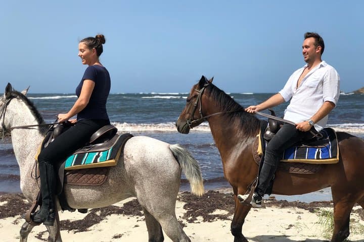 Advanced Horseback Beach Ride in St. Lucia — Sandy Hoofs Coastal Canter & Swim photo 4