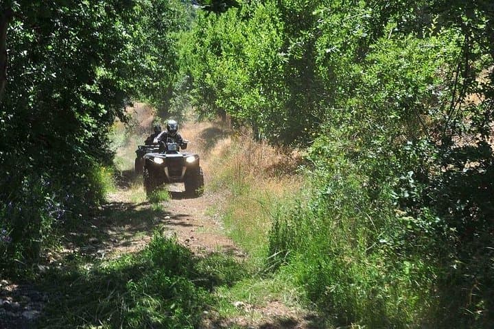 Full-Day Polaris ATV Off-Road Adventure from Beirut to Lakes, Cedars & Mountain Trails photo 2