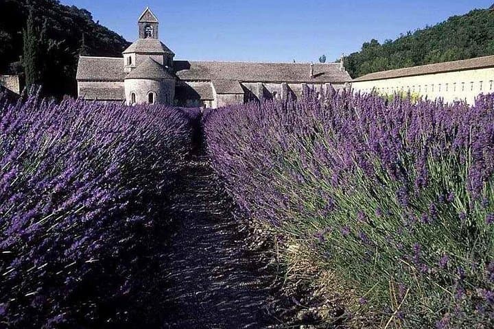 Luberon Lavender Country Private Tour: Gordes, Roussillon & Bonnieux photo 2