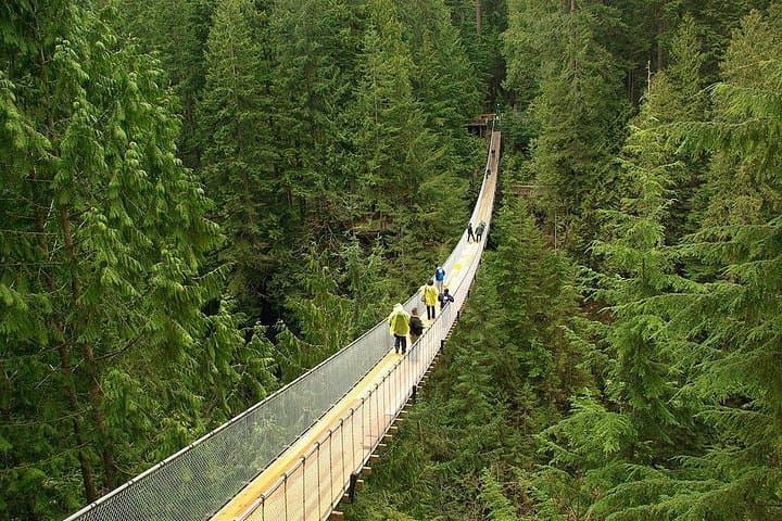 Vancouver Private Tour & Capilano Suspension Bridge: Stanley Park to Granville Island