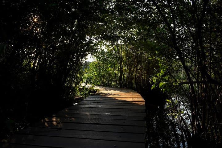 Colombo Wetland Tour: Shore Excursion to Diyawanna Lake & City Highlights