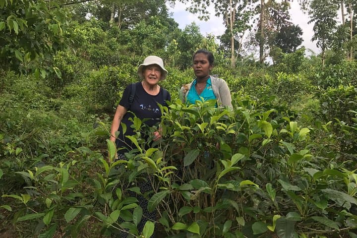 Hikkaduwa Tuk‑Tuk Day Tour: Cinnamon, Rubber & Turtle Hatchery Experience