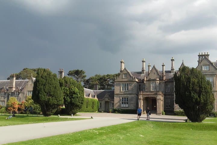Exploring Killarney Valley and National Park: An Immersive Day Tour in Ireland’s Wild Heart photo 3