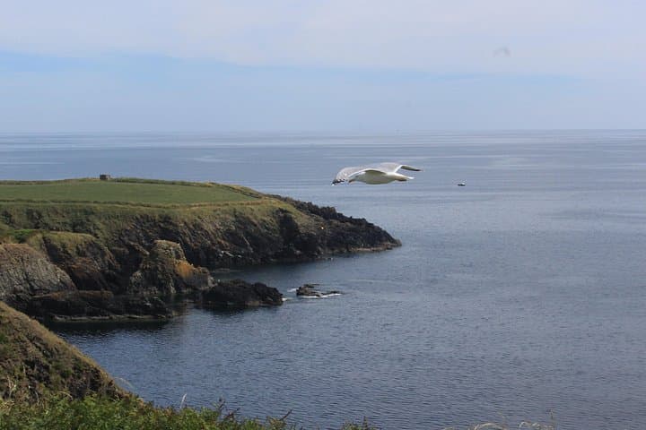 Custom Full-Day Private Tour from Waterford — South East Ireland Highlights