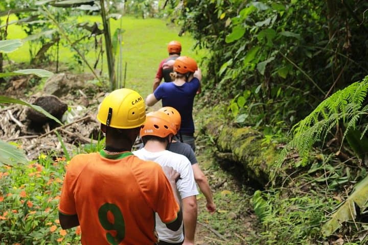 Mindo Cloud Forest Day Trip from Quito: Birds, Waterfalls & Zipline Thrills photo 3