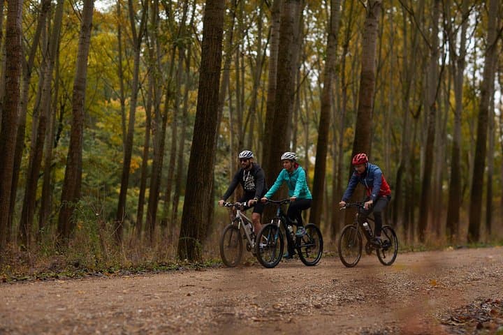 Obedska Bara Bike Tour — Day Ride Through Serbia’s Ramsar Floodplain photo 2