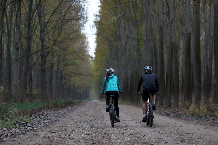 Obedska Bara Bike Tour — Day Ride Through Serbia’s Ramsar Floodplain photo 4
