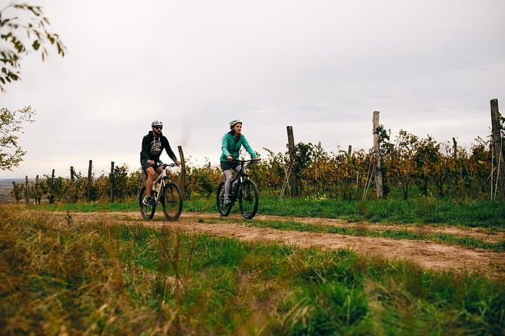 Cycle Stari Slankamen: Half-Day Ride to Roman Acumincum & Danube Beaches photo 2