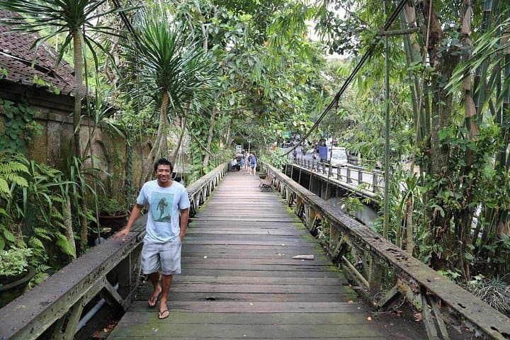 Ubud and Tanah Lot: Full-Day Cultural & Sunset Tour in Bali photo 4