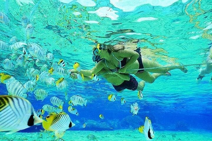 Red Sea Scuba and Snorkel Day Trip from Hurghada — Two Reefs, Lunch Included photo 2