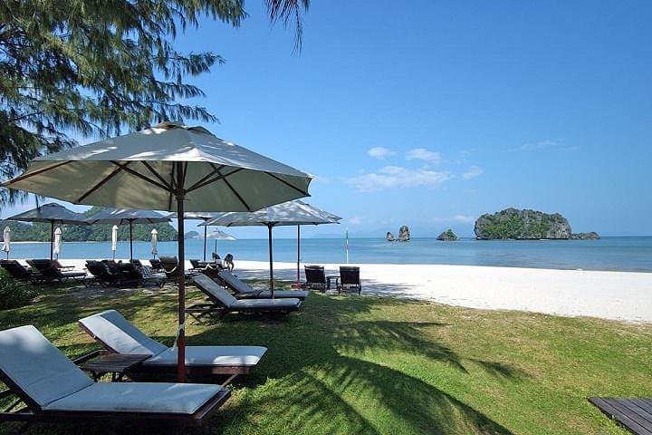 Langkawi Private Tanjung Rhu Mangrove & Eagle-Watching Boat Tour