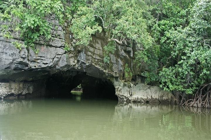 Langkawi Private Tanjung Rhu Mangrove & Eagle-Watching Boat Tour photo 2