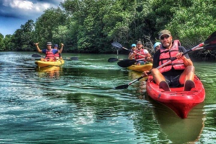Pulau Ubin Mangrove Kayaking: Beginner-Friendly Paddling from Singapore
