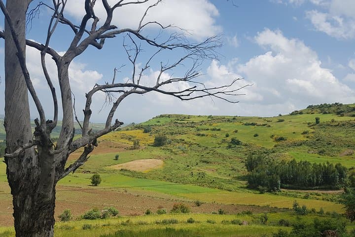 Debre Libanos Monastery & Jemma River Gorge Day Tour from Addis Ababa photo 3