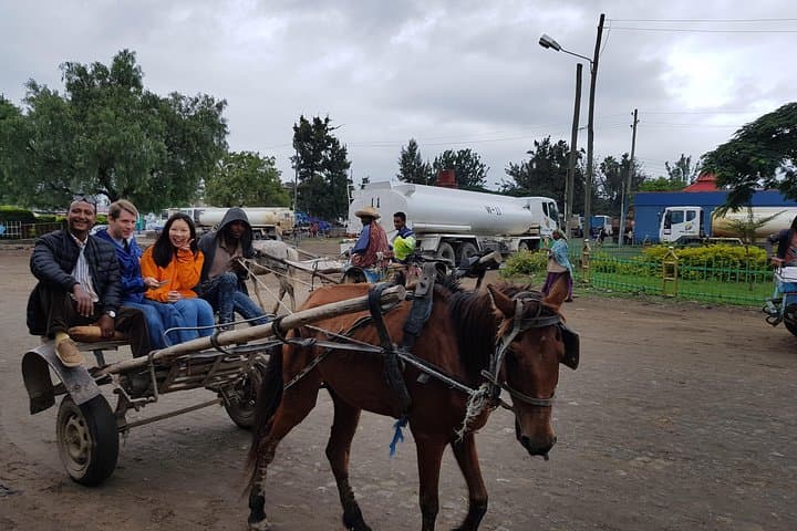 Ethiopian Rift Valley Lakes & Tiya Steles Day Trip from Addis photo 6